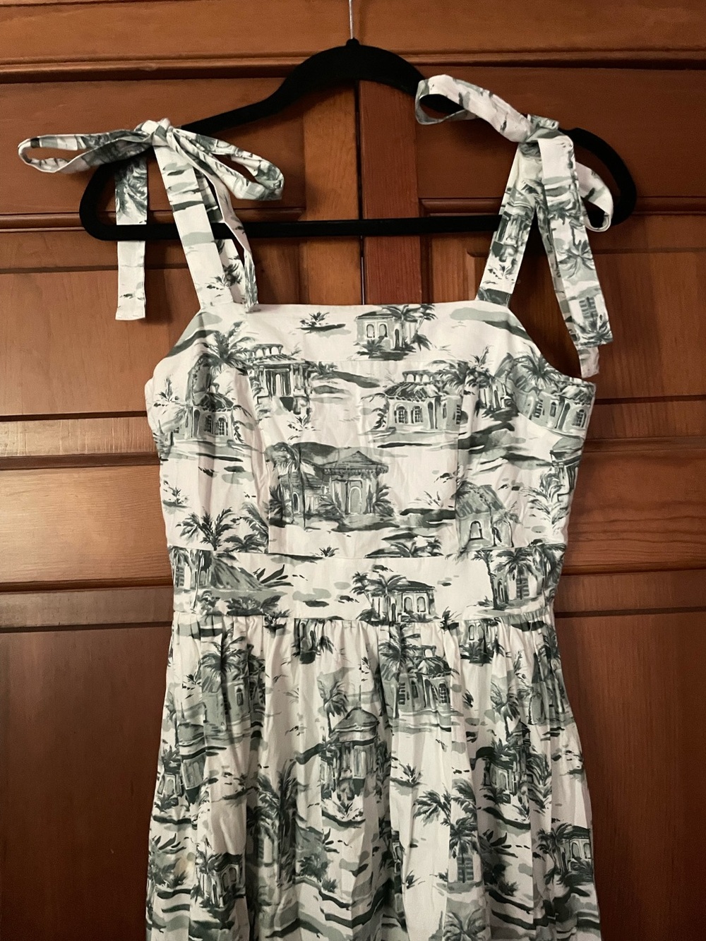 🍋‍🟩Rachel Zoe white and green toile print dress🍋‍🟩